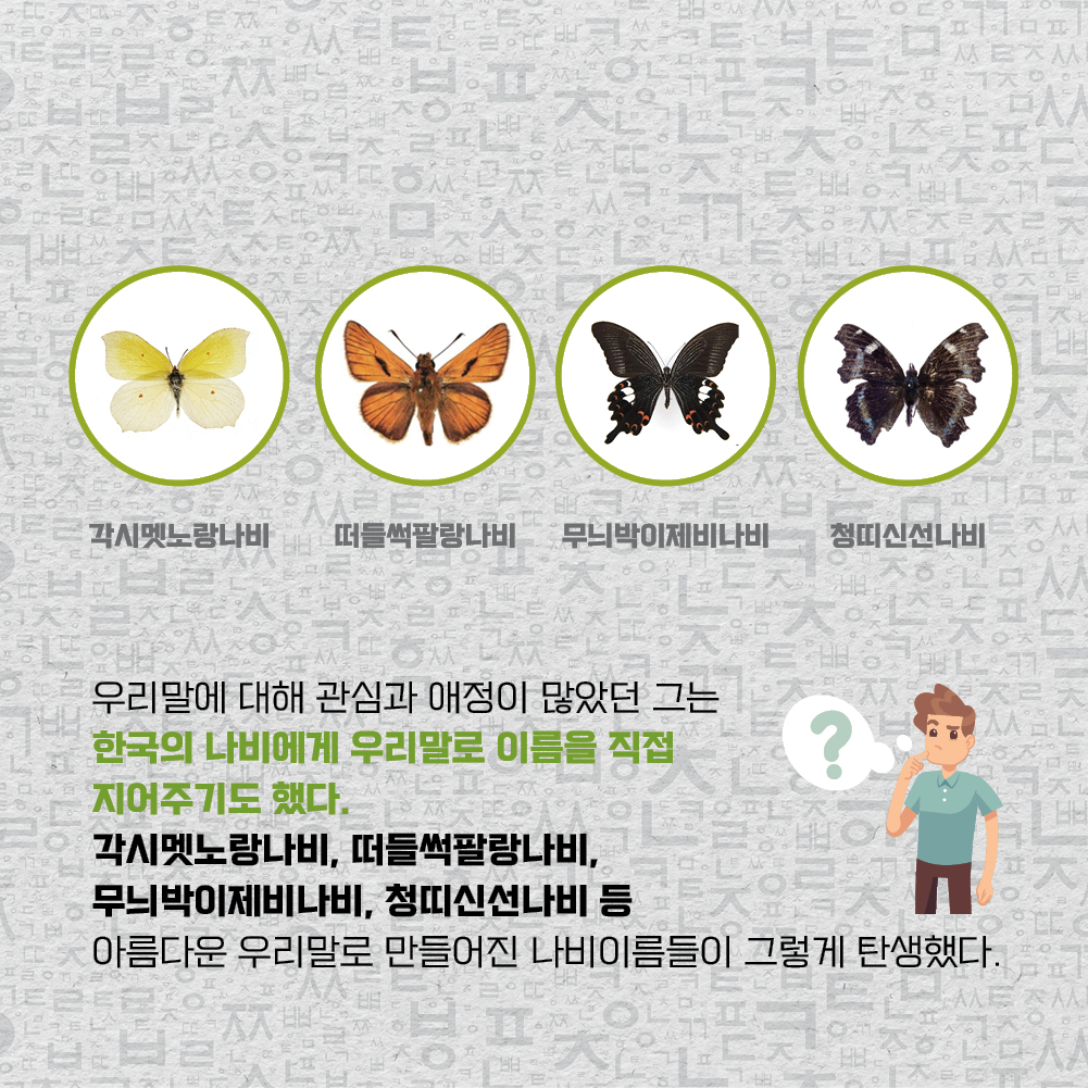 우리말에 대해 관심과 애정이 많았던 그는 한국의 나비에게 우리말로 이름을 직접 지어주기도 했다. 각시멧노랑나비, 떠들썩팔랑나비, 무늬박이제비나비, 청띠신선나비 등 아름다운 우리말로 만들어진 나비이름들이 그렇게 탄생했다.