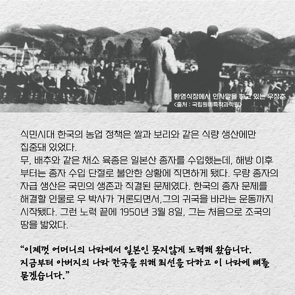 식민시대 한국의 농업 정책은 쌀과 보리와 같은 식량 생산에만 집중돼 있었다. 무, 배추와 같은 채소 육종은 일본산 종자를 수입했는데, 해방 이후부터는 종자 수입 단절로 불안한 상황에 직면하게 됐다. 우량 종자의 자급 생산은 국민의 생존과 직결된 문제였다. 한국의 종자 문제를 해결할 인물로 우 박사가 거론되면서, 그의 귀국을 바라는 운동까지 시작됐다. ‘우장춘 환국추진위원회’를 통해 그의 귀국과 연구소 부지를 마련할 수 있는 자금이 모였고, 1950년 3월 8일, 그는 처음으로 조국의 땅을 밟았다. “이제껏 어머니의 나라에서 일본인 못지않게 노력해 왔습니다. 지금부터 아버지의 나라 한국을 위해 최선을 다하고 이 나라에 뼈를 묻겠습니다.”