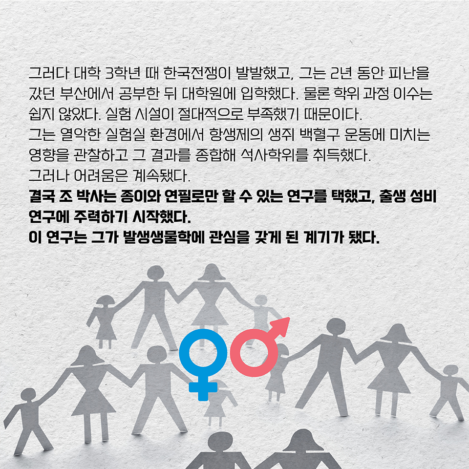 그러다 대학 3학년 때 한국전쟁이 발발했고, 그는 2년 동안 피난을 갔던 부산에서 공부한 뒤 대학원에 입학했다. 
물론 학위 과정 이수는 쉽지 않았다. 실험 시설이 절대적으로 부족했기 때문이다. 
그는 열악한 실험실 환경에서 항생제의 생쥐 백혈구 운동에 미치는 영향을 관찰하고 
그 결과를 종합해 석사학위를 취득했다. 그러나 어려움은 계속됐다. 
결국 조 박사는 종이와 연필로만 할 수 있는 연구를 택했고, 출생 성비 연구에 주력하기 시작했다. 
이 연구는 그가 발생생물학에 관심을 갖게 된 계기가 됐다.