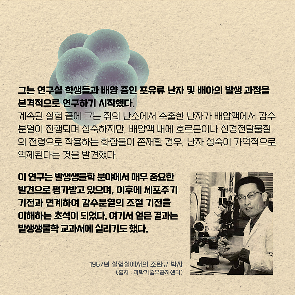 그는 연구실 학생들과 배양 중인 포유류 난자 및 배아의 발생 과정을 본격적으로 연구하기 시작했다. 
계속된 실험 끝에 그는 쥐의 난소에서 축출한 난자가 배양액에서 감수분열이 진행되며 성숙하지만, 배양액 내에 호르몬이나 신경전달물질의 전령으로 작용하는 화합물이 존재할 경우, 
난자 성숙이 가역적으로 억제된다는 것을 발견했다.