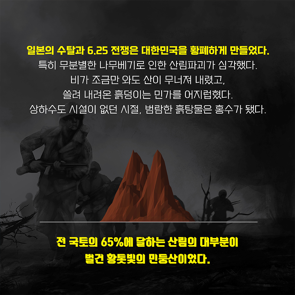 현신규 카드뉴스 3.jpg 이미지입니다.