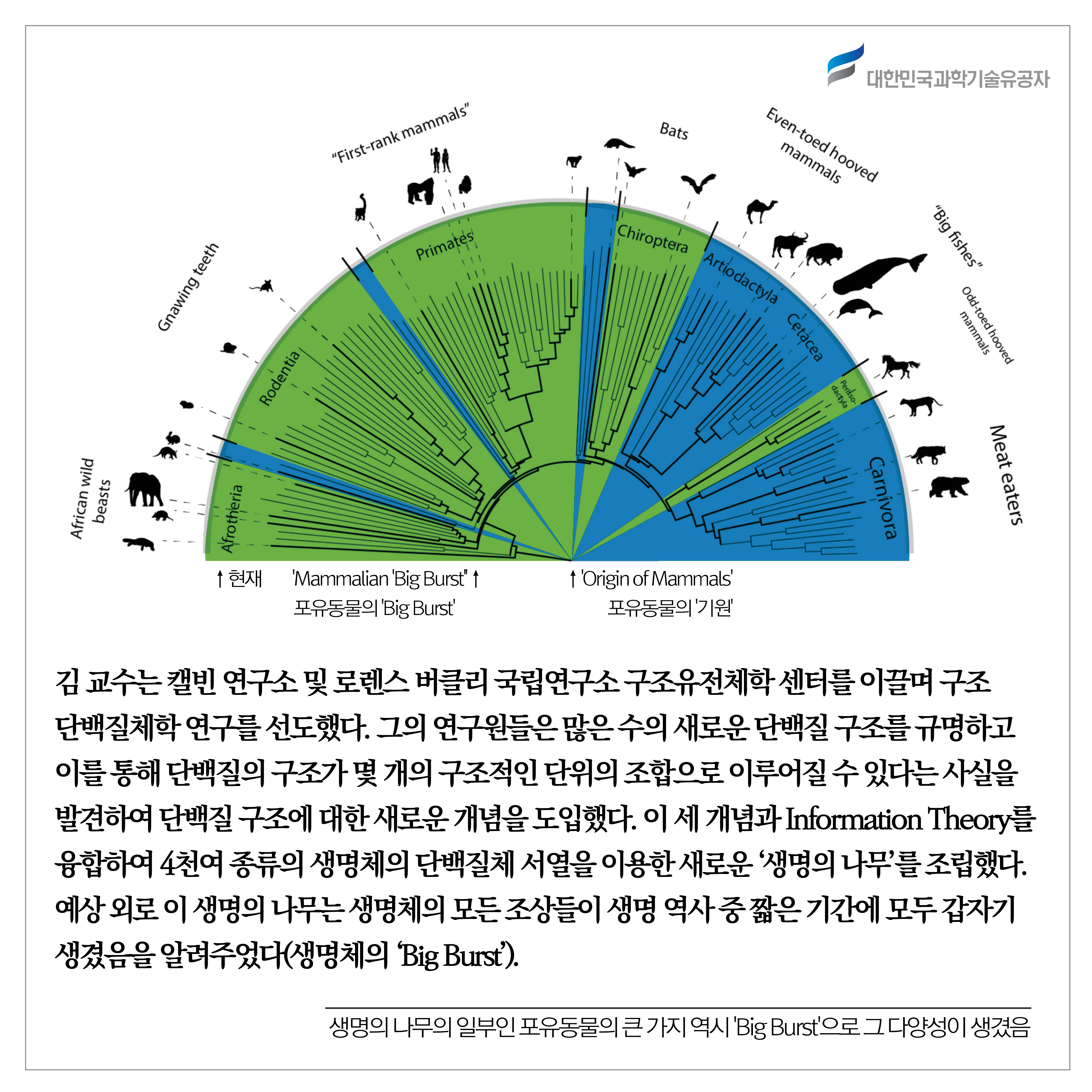 김성호12.jpg 이미지입니다.