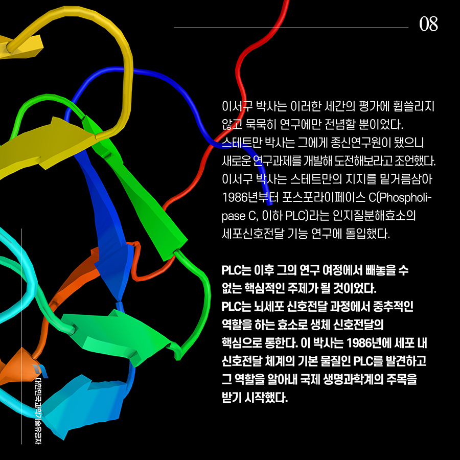 #8. 이서구 박사는 이러한 세간의 평가에 휩쓸리지 않고 묵묵히 연구에만 전념할 뿐이었다. 스테트만 박사는 그에게 종신연구원이 됐으니 새로운 연구과제를 개발해 도전해보라고 조언했다. 이서구 박사는 스테트만의 지지를 밑거름삼아 1986년부터 포스포라이페이스 C(Phospholipase C, 이하 PLC)라는 인지질분해효소의 세포신호전달 기능 연구에 돌입했다.PLC는 이후 그의 연구 여정에서 빼놓을 수 없는 핵심적인 주제가 될 것이었다. PLC는 뇌세포 신호전달 과정에서 중추적인 역할을 하는 효소로 생체 신호전달의 핵심으로 통한다. 이 박사는 1986년에 세포 내 신호전달 체계의 기본 물질인 PLC를 발견하고 그 역할을 알아내 국제 생명과학계의 주목을 받기 시작했다.