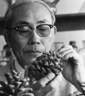 서울대학교 교수 시절 현신규 박사.jpg 이미지입니다.